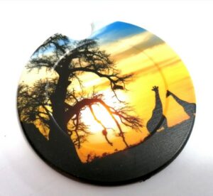Licence Disk Holder 110