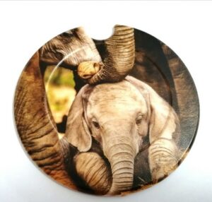 Licence Disk Holder 111