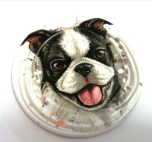 Licence Disk Holder 120