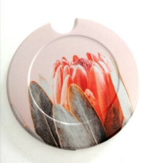 Licence Disk Holder 002