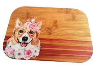 Kooshty Lunch Box / Organiser 008