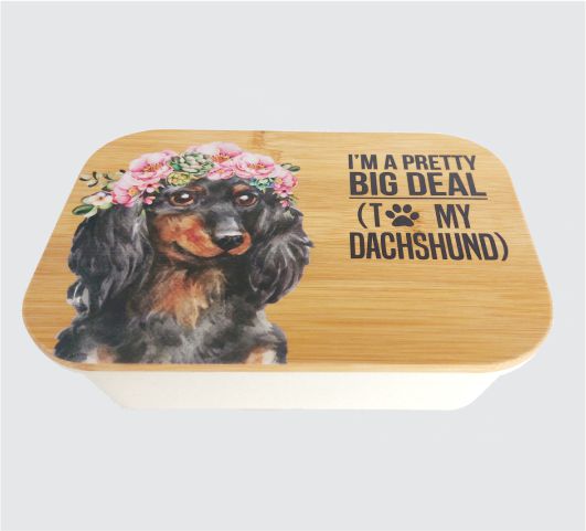 Kooshty Lunch Box / Organiser 018