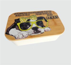 Kooshty Lunch Box / Organiser 021