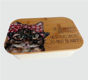 Kooshty Lunch Box / Organiser 013