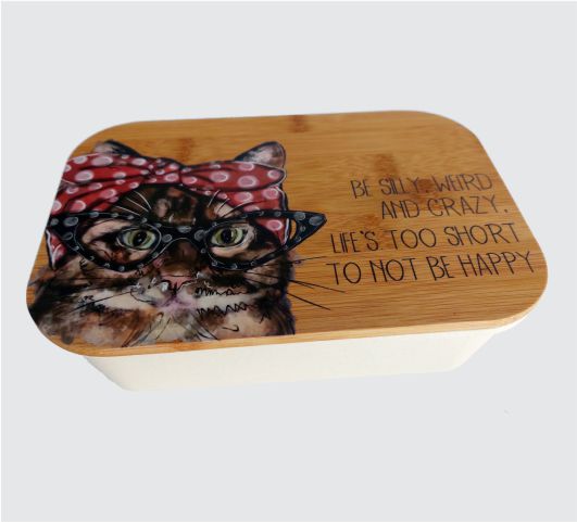 Kooshty Lunch Box / Organiser 013