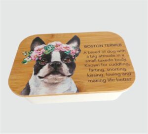 Kooshty Lunch Box / Organiser 014