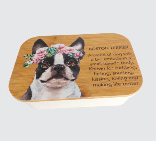 Kooshty Lunch Box / Organiser 014