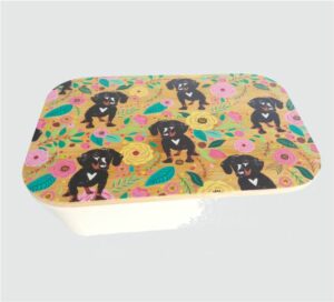 Kooshty Lunch Box / Organiser 016