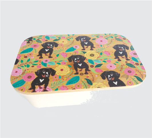 Kooshty Lunch Box / Organiser 016