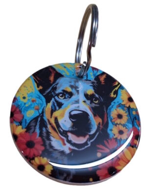 Funky American Cattle Dog 022