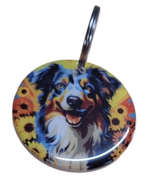 Australian Shepherd 046