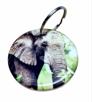 Majestic Elephant Keyring 012