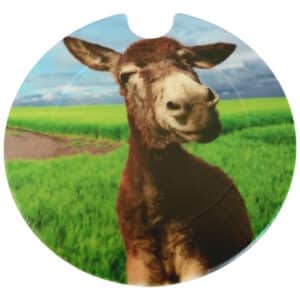 Inquisitive Donkey Licence Disk Holder 075