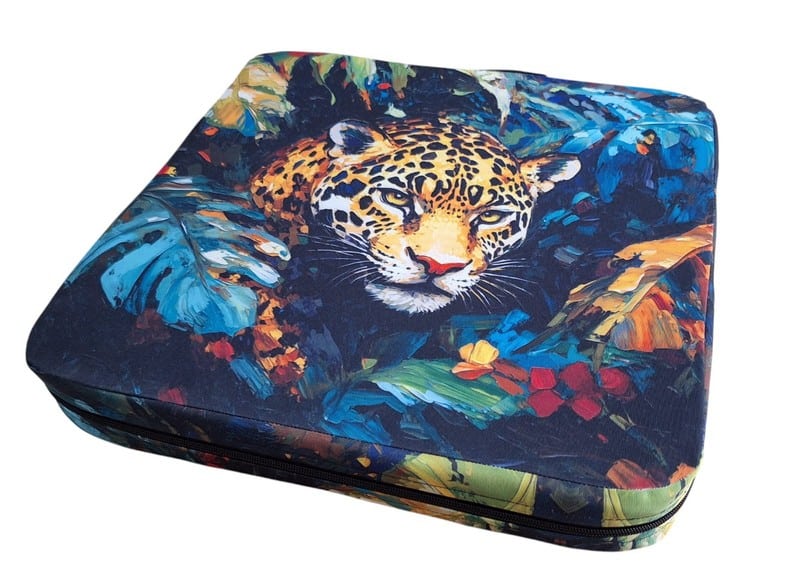 Stadium Cushion 002